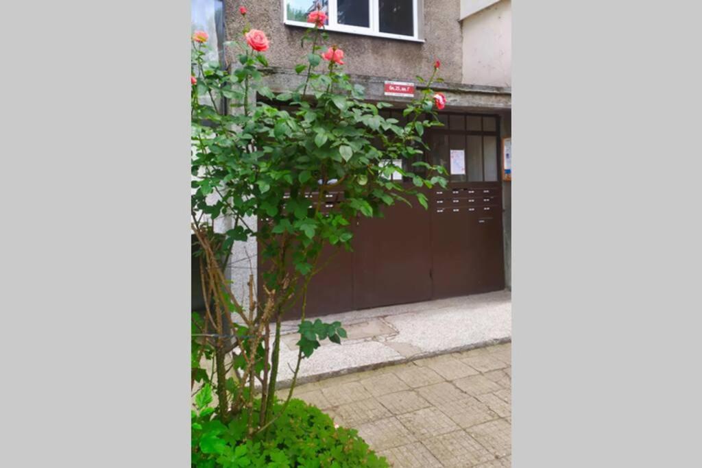 Lovely City Center 1Bd, 1Bt Apartment Sofia Eksteriør bilde